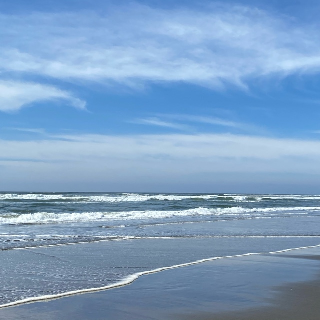 Things My Mother Taught&nbsp;Me