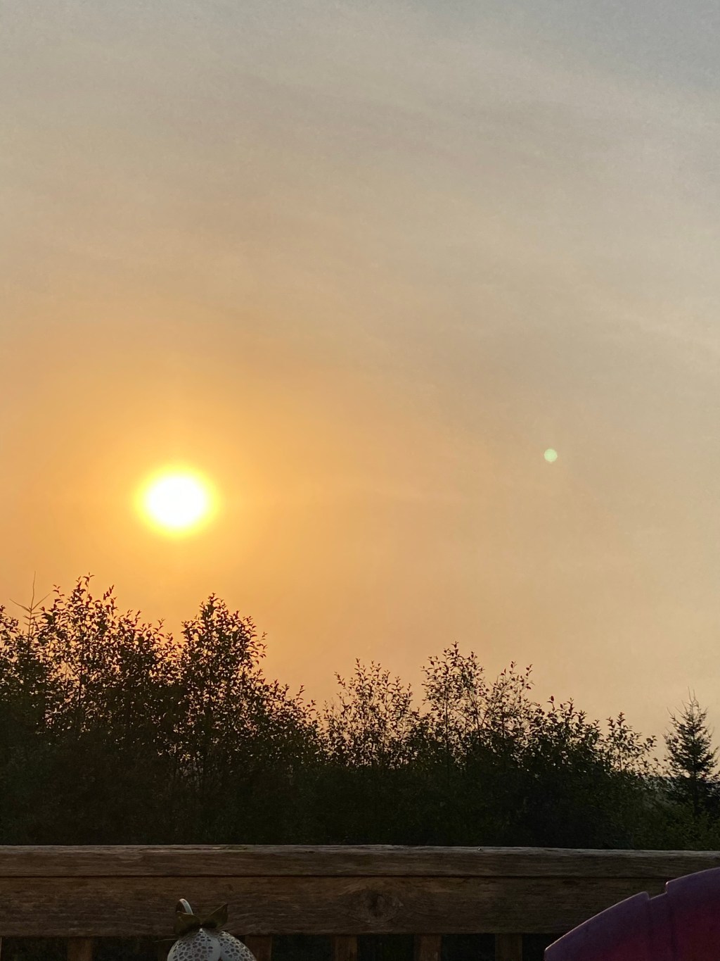 Silent Sunday: Fall&nbsp;Edition