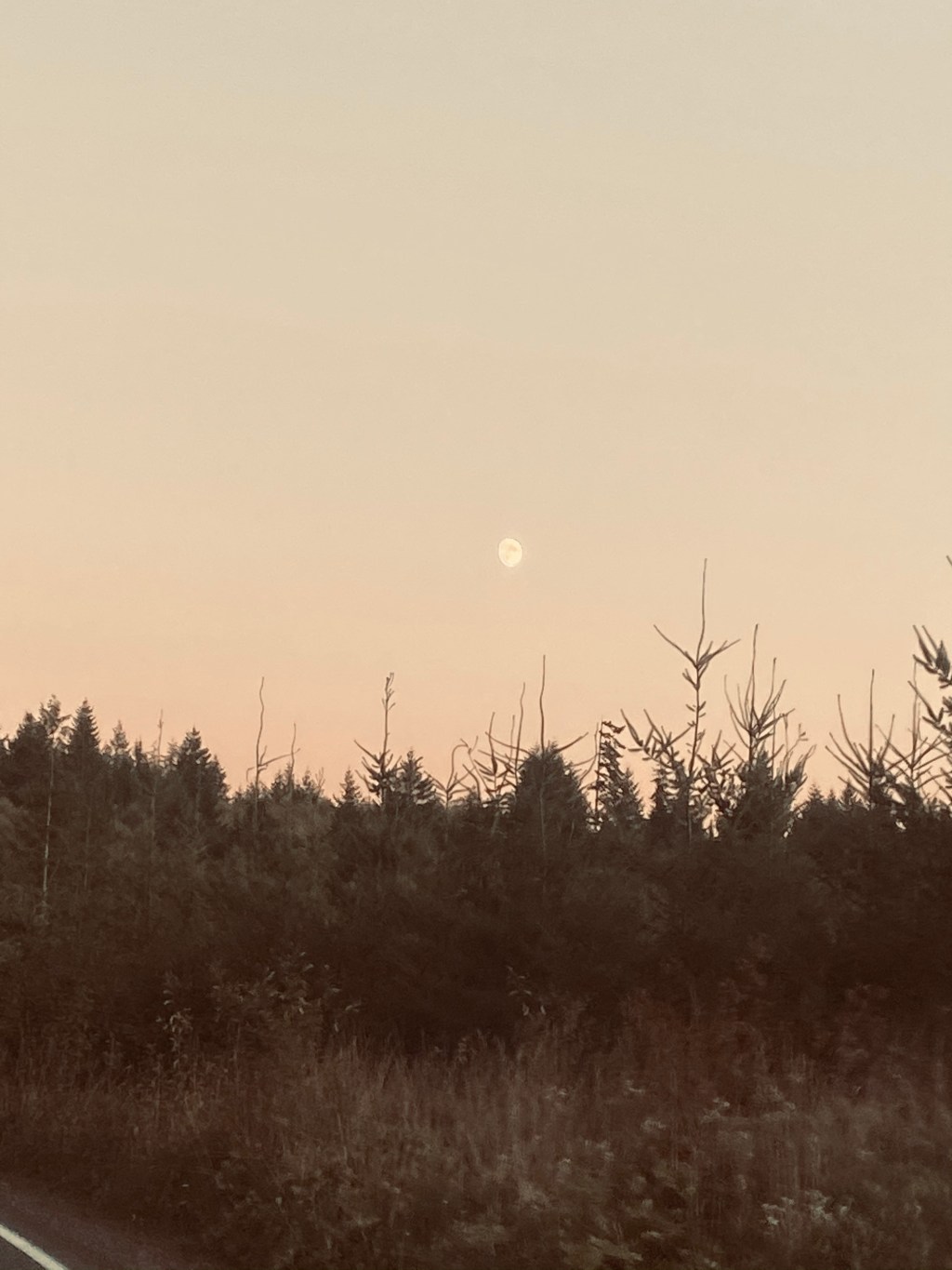 Living Without Your&nbsp;Mom