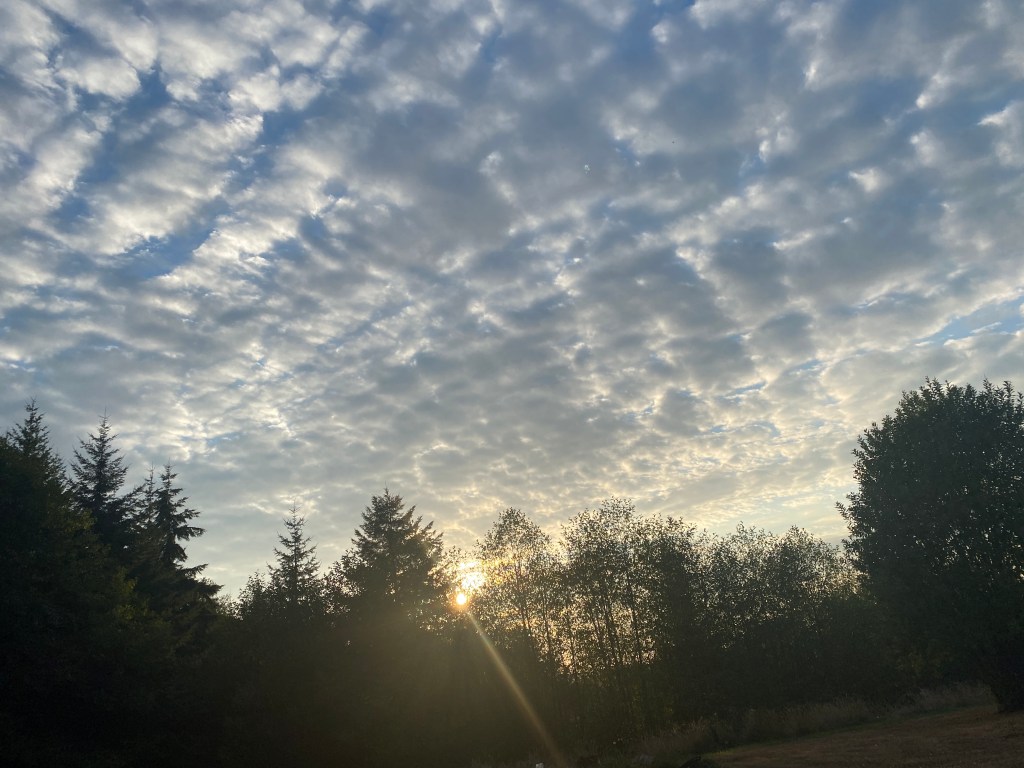 F Bombs and&nbsp;Prayer