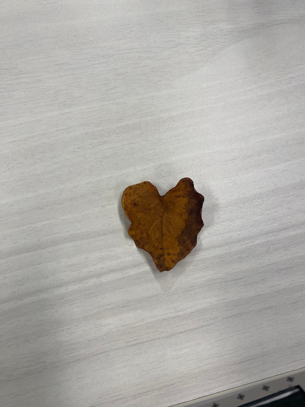 Stand Up For What You&nbsp;Believe!