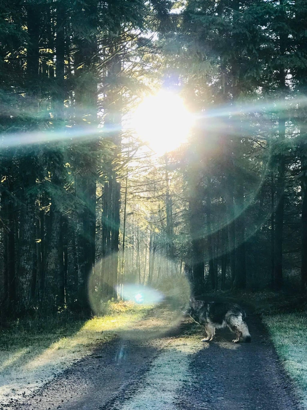 Anxiety and All It’s&nbsp;Evils