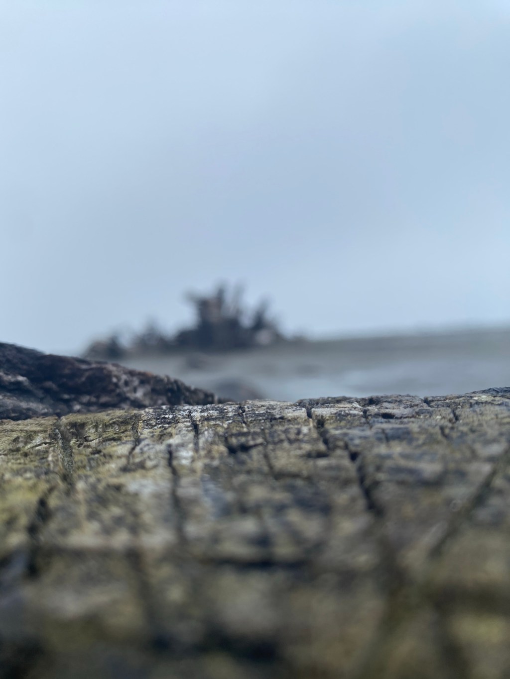 Top 10 Life&nbsp;Rules