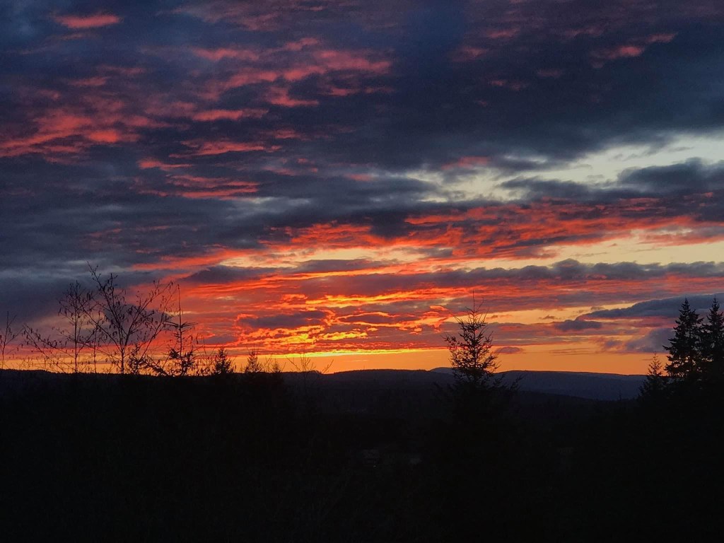 To My Living&nbsp;Children